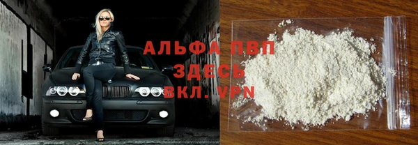 СК Осташков