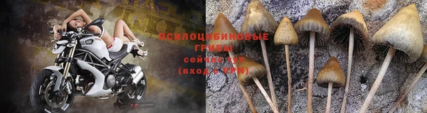 гидра Абинск
