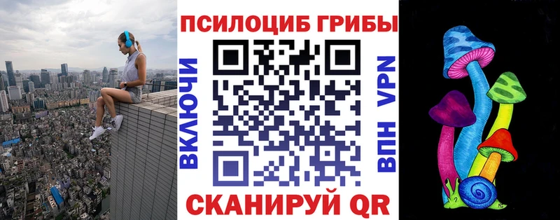 omg маркетплейс даркнет сайт Кудымкар Галлюциногенные грибы Psilocybe