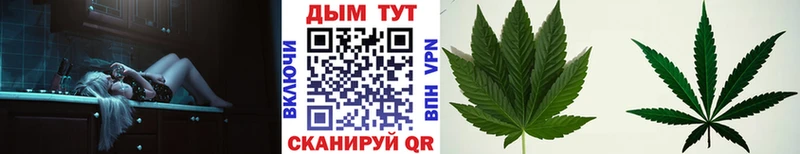 Шишки марихуана OG Kush Кудымкар